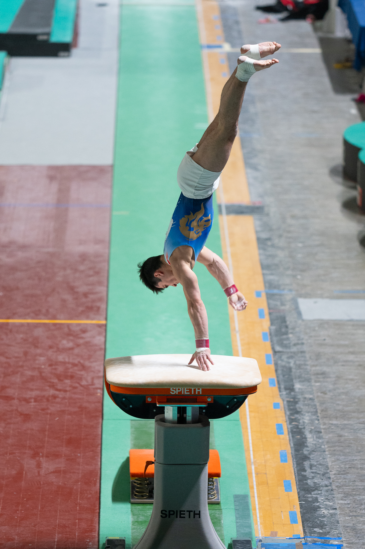 Serie A1 Artistic Gymnastics Ancona 24 02 2024...