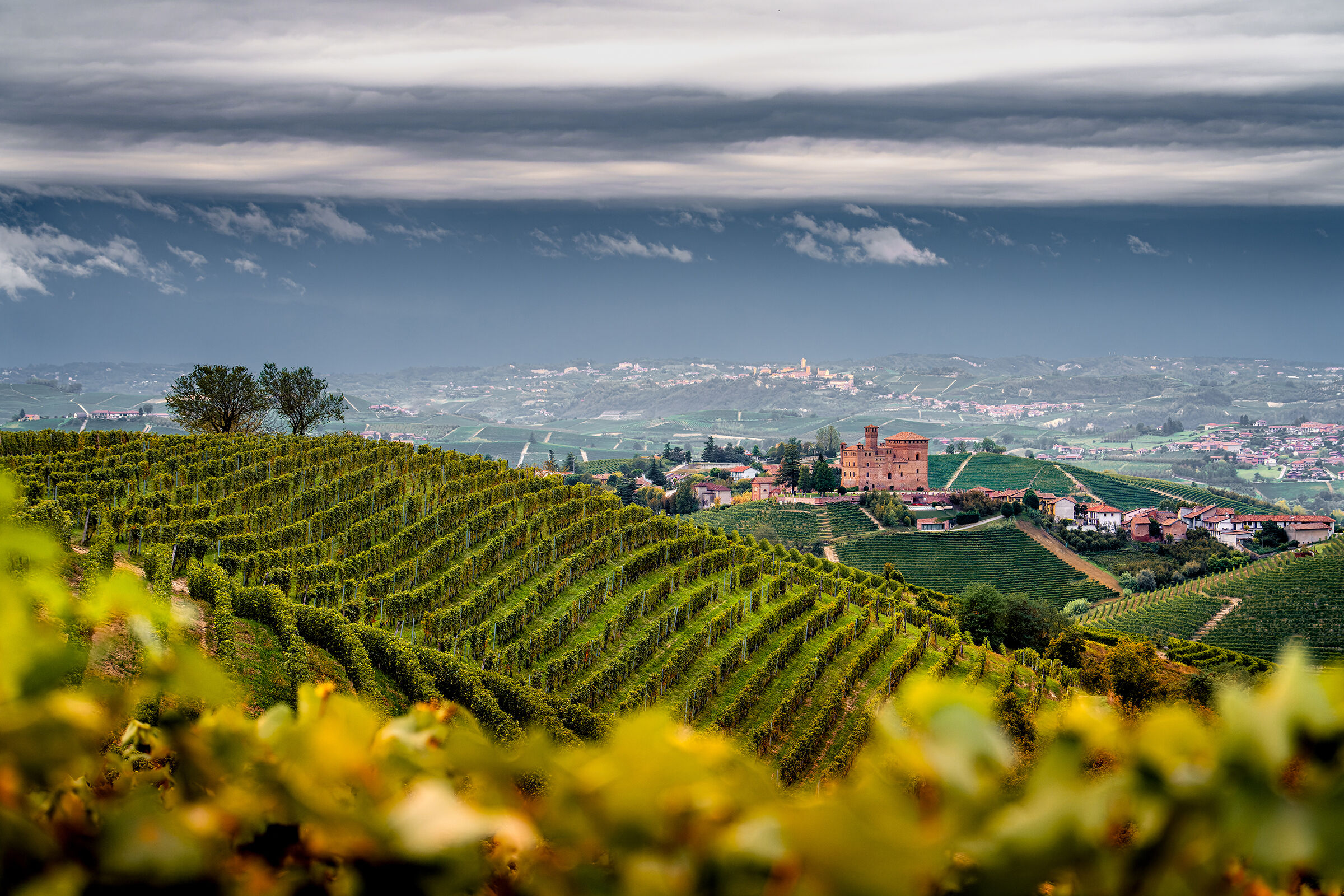 Waiting for autumn in the vineyards of Grinzane...